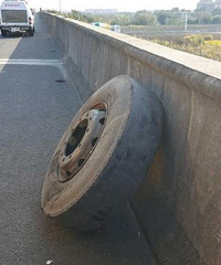 ��������̥���� Ϊʲô���������ң���˾�����������е�ԩ