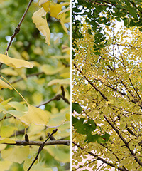 ʱ�䵽�ˣ�һ��ȥ����·��ɨ�ơ���