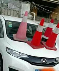 ������Ҽ��ſ� �����������