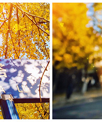 ��������· �����Ĳ����ˣ�