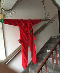 �Ҳ�����¥���￴���������·��� �궼��û�ˣ�