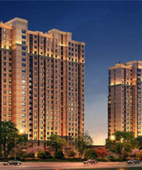 ��ȥ���˼��������ŵ�¥�� û�뵽��