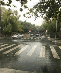 ��ܰ���ѣ��Ϻ����޴�ͨ�� 36·�������Ѹĵ�