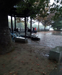 ���ɹ�������һ���ܳɹ�������Ⱥ������������ڮf��ָ������ں�