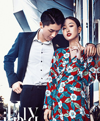 �������ķ��ɴ�� ϲ����