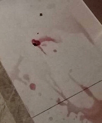 С������һĻ����ҵ�����˹��������ſ�