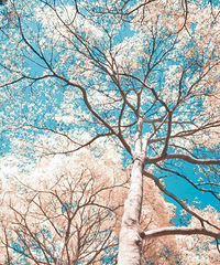 ��ͻȻ�������� �ҷ���¥�￴����˳�۵Ĺ��ﶼ���Ҵ�һ��