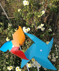 ������������ �鼱֮�¶Է��������� �Ҹ�˵ʲô