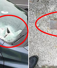 ���˸����� ���ֵ�������γ����粣����