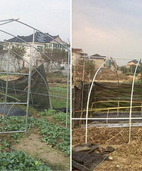 ������ �Ҿ�����ũ���ֵأ�