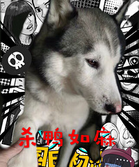 狗界活阎王高级进化钢铁加鲁鲁