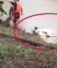 ����26��С�ﳵ�ӿ��������� ��ǰ�Լ����˾�