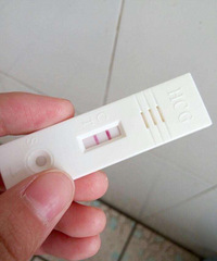 ����������  �����⻳����