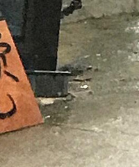 ͣ���շ� ÿ��100�飡��Ǯ����