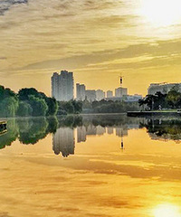 �������蹫��