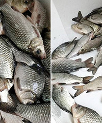 һ���ϵ����� Ҫ�Ժö��죡