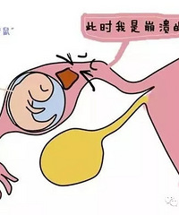 "惊险!海宁一女子流掉了体内近70%的血 只因受精卵“耍流氓”!"