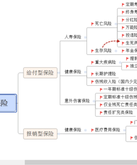 保险种类