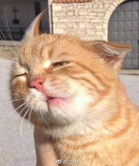 ���ߵ�Ů���Ӷ����ݣ���˵����Բ�� ����˵������Բ��