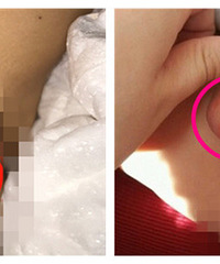 ���ҡ�غ���ϵ�ʪ���Ӱ���Թ��ܣ�