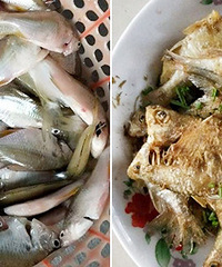 ��������һ���� ������������