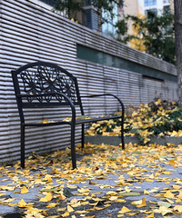 ����С����Ϯ ������һ��Ϊ���С������call~