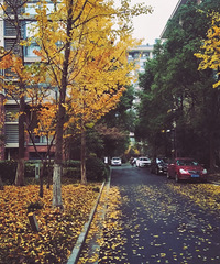 ����С�������� ������·���ÿ�������