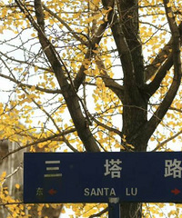 @�����ͬ���� �㲻ϲ����һ������ʲôְҵ�ģ�