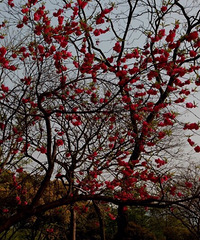 [ɹ���ҵ�����С��]�²������ĸ�С��