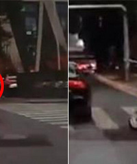 ���£�����·Σ��һĻ �Ҳ��ײ����