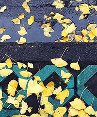 ��˵����ȫ���ˡ���ơ��ĵط���