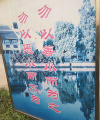 ����һ���ƣ�������С��Ϊ֮ ���Ѷ�С����Ϊ������