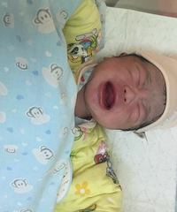 ˳��8��2������һö �޲��У�