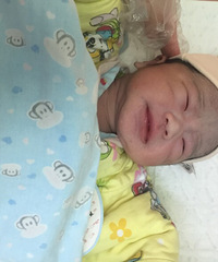 ˳��8��2������һö �޲��У�