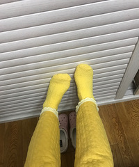 һ�����������и����ճ� �һ�19������10˫����