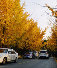 һ����ȱһ�������ڼҵĵĽ�ͷ��һ��~Ŷ��Ŷ��