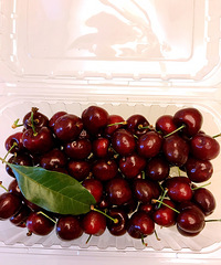 ��һ�������������Գ����� �ֵ��˳Գ����ӵļ����ˡ�