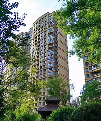 ����С�����̻� ��ֱ���ò��У���������Ŷ��Ǵ�Ƭ