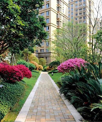 ����С�����̻� ��ֱ���ò��У���������Ŷ��Ǵ�Ƭ