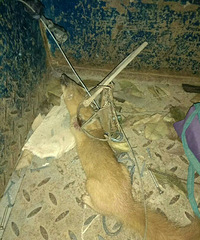 �ң�����һ�桤�����Ǹ������� ���������м�ס�ˣ�