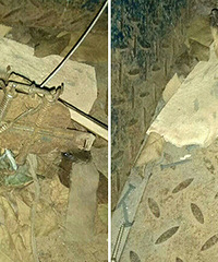 ����������ʵ�桰�����Ǹ������ꡱ ���...