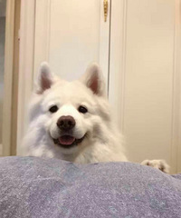 ���Լ����˸�Ŀ�� ���˽�֮ǰ�Ҹ�������