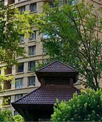 �²������ĸ�С�� �̻���������