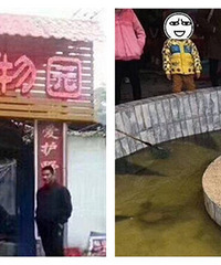 �������ɽ����԰�����ˣ���Ʊ15Ԫ/��