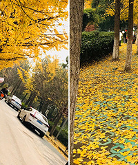 ·������· ����ǰ����������