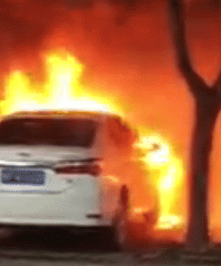 ������һ�����Ż� �ſ�һ���ų����꣡