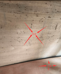 ������ ��������