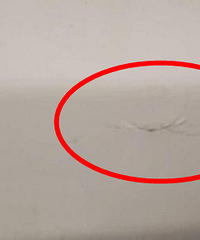 ���ӱ�׷β ��һŮ˾���������� �Է�ֻ�����200��Ǯ��