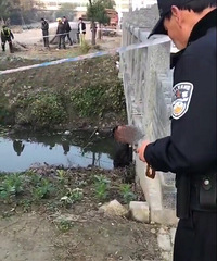 Ϊʲô�벻�������纣��һ���ӱ����ֵ�����������