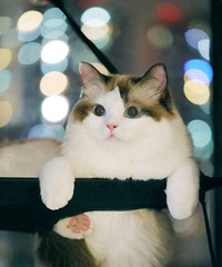 ȥ�Ǳ����ŵ����˶��տ� �����Ҿͳ�θ���ˣ�